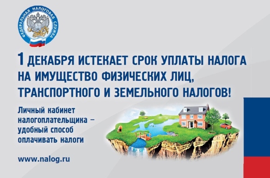 Успейте уплатить имущественные налоги до 1 декабря 2022 года