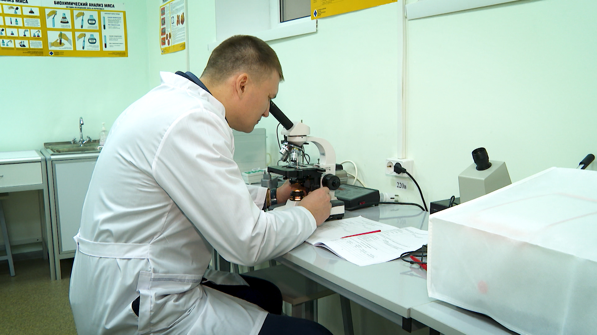 В сфере науки в Белгородской области заняты почти 1500 человек.