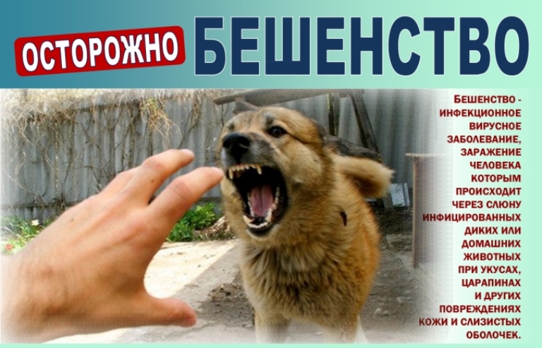 Осторожно! Бешенство..