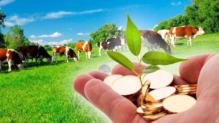 О механизме предоставления субсидий из областного бюджета сельскохозяйственным товаропроизводителям Белгородской области.