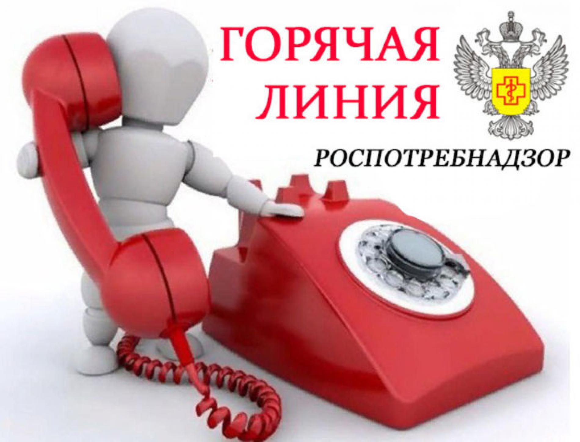 О проведении тематической «горячей линии».
