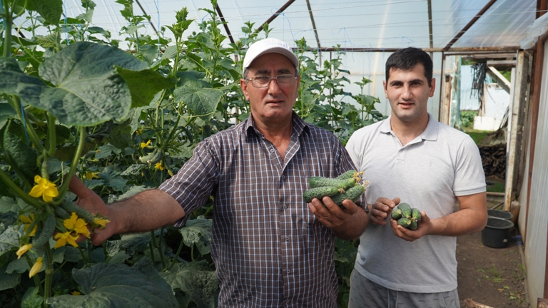 Семья Мхитарян из села Стригуны занимается выращиванием овощей.