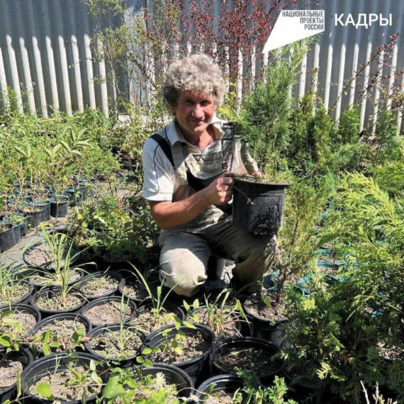 Господдержка дала плоды: житель села Красный Куток создал питомник саженцев на приусадебном участке.
