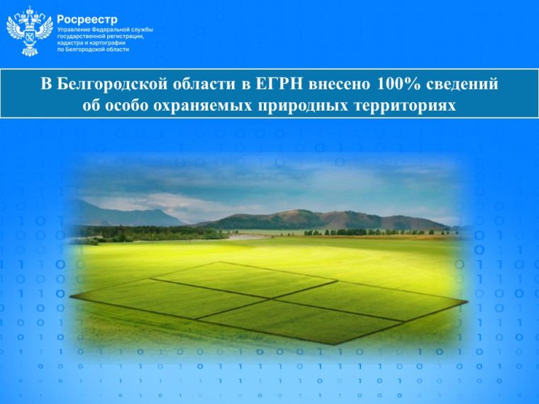 В Белгородской области в ЕГРН внесено 100% сведений об особо охраняемых природных территориях.