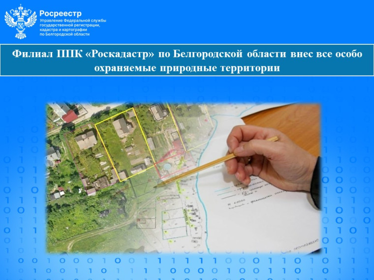 Филиал ППК «Роскадастр» по Белгородской области внес все особо охраняемые природные территории.