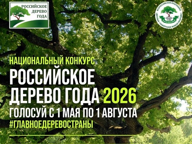 Борисовцы могут принять участие в конкурсе «Российское дерево года».