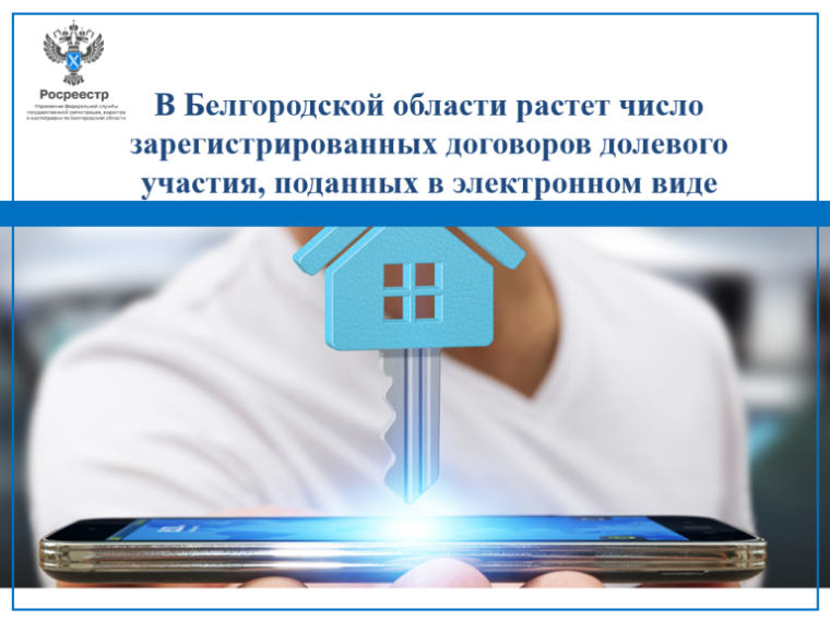 В Белгородской области растет число зарегистрированных договоров долевого участия, поданных в электронном виде.