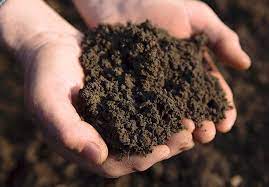 Об ответственности за самовольное снятие или перемещение плодородного слоя почвы, а также за пользование недрами без лицензии.
