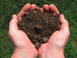 Ответственность за снятие плодородного слоя почвы.