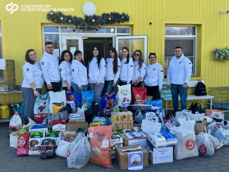 Отделение СФР по Белгородской области передало более 500 кг гуманитарной помощи приюту для бездомных животных.