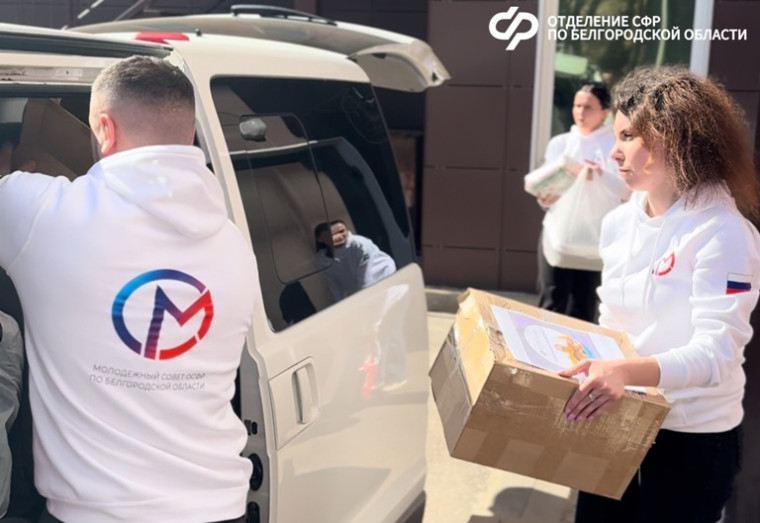 Отделение СФР по Белгородской области передало более 500 кг гуманитарной помощи приюту для бездомных животных.