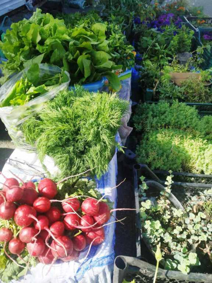 На территории поселка Борисовка на постоянной основе работает ярмарка.