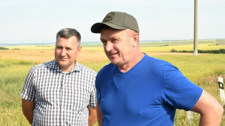 Традиционный объезд полей перед уборочными работами прошёл в Борисовском районе.