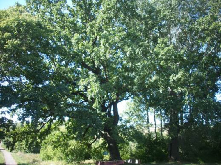 Уважаемые жители и гости Борисовского района!.